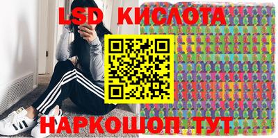 стафф Брянск
