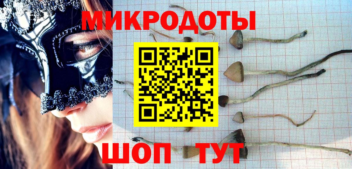Добрянка  наркота  Вход с VPN  Псилоцибиновые грибы прущие грибы 